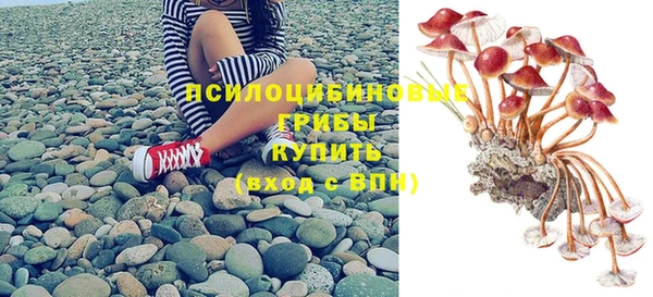 прущие крисы Арсеньев