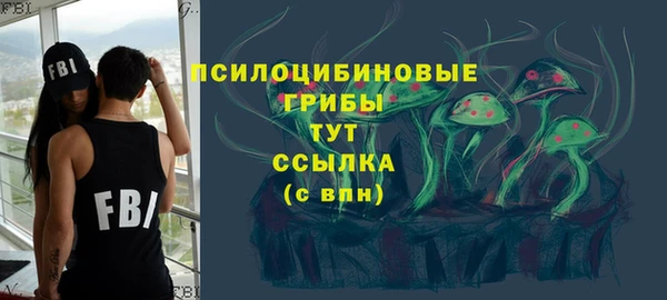 гашик Армянск