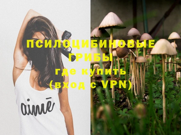 гашик Армянск