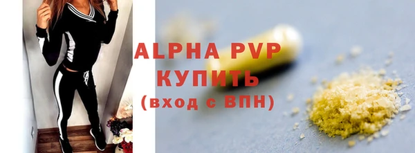 СК Белокуриха