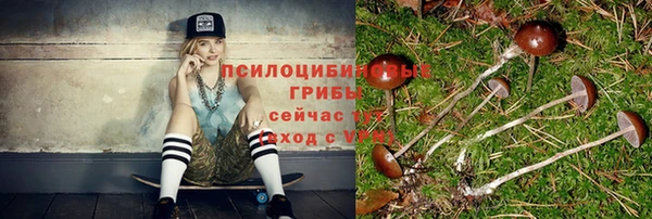 гашик Армянск