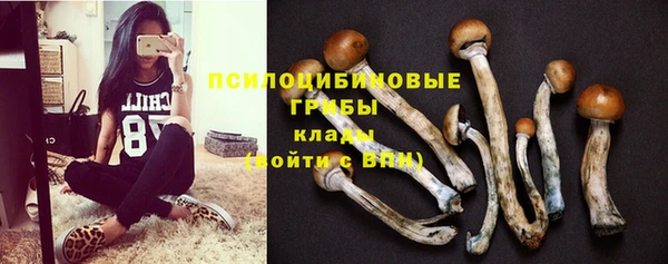 СК Белокуриха